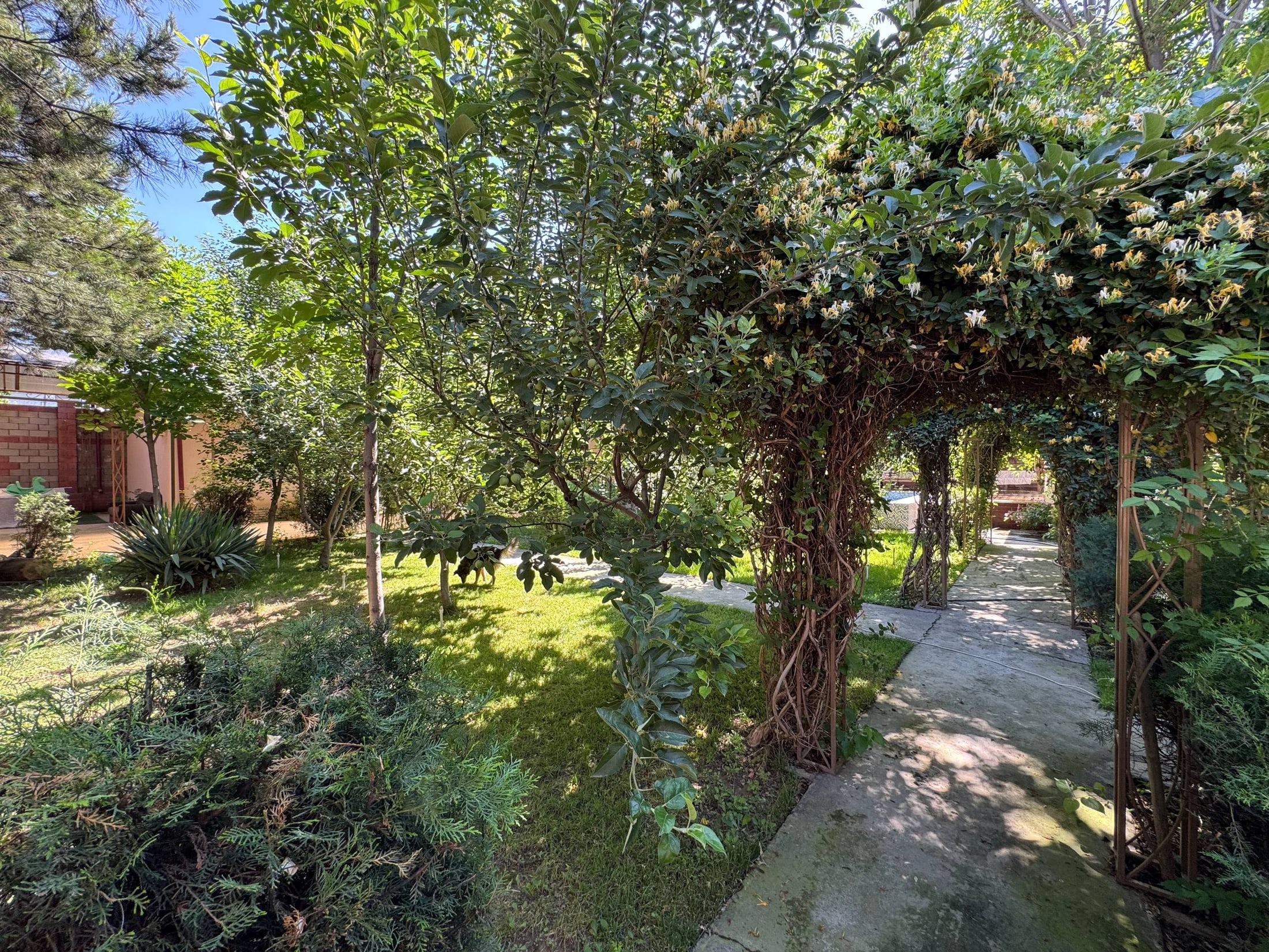 6-room house